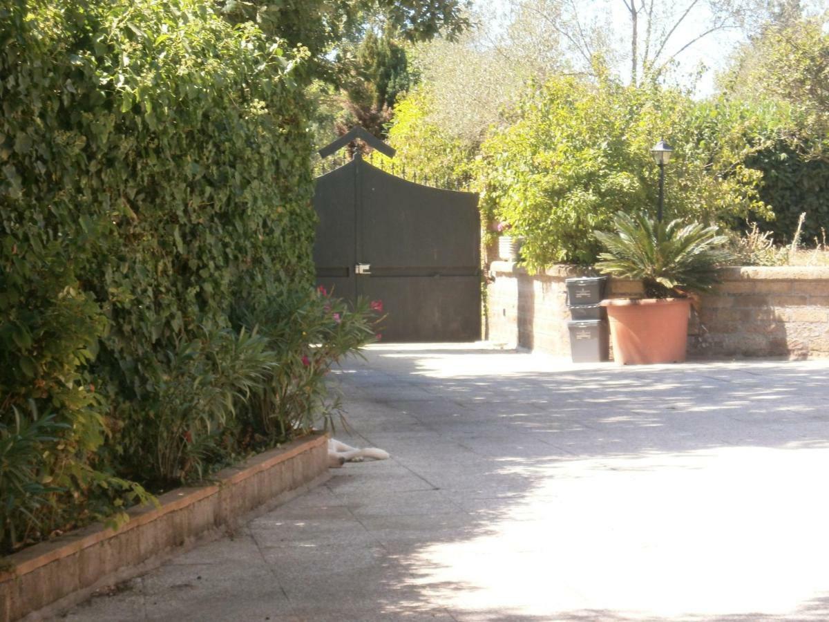 Villa Rosalba Camere Barbarano Romano 외부 사진