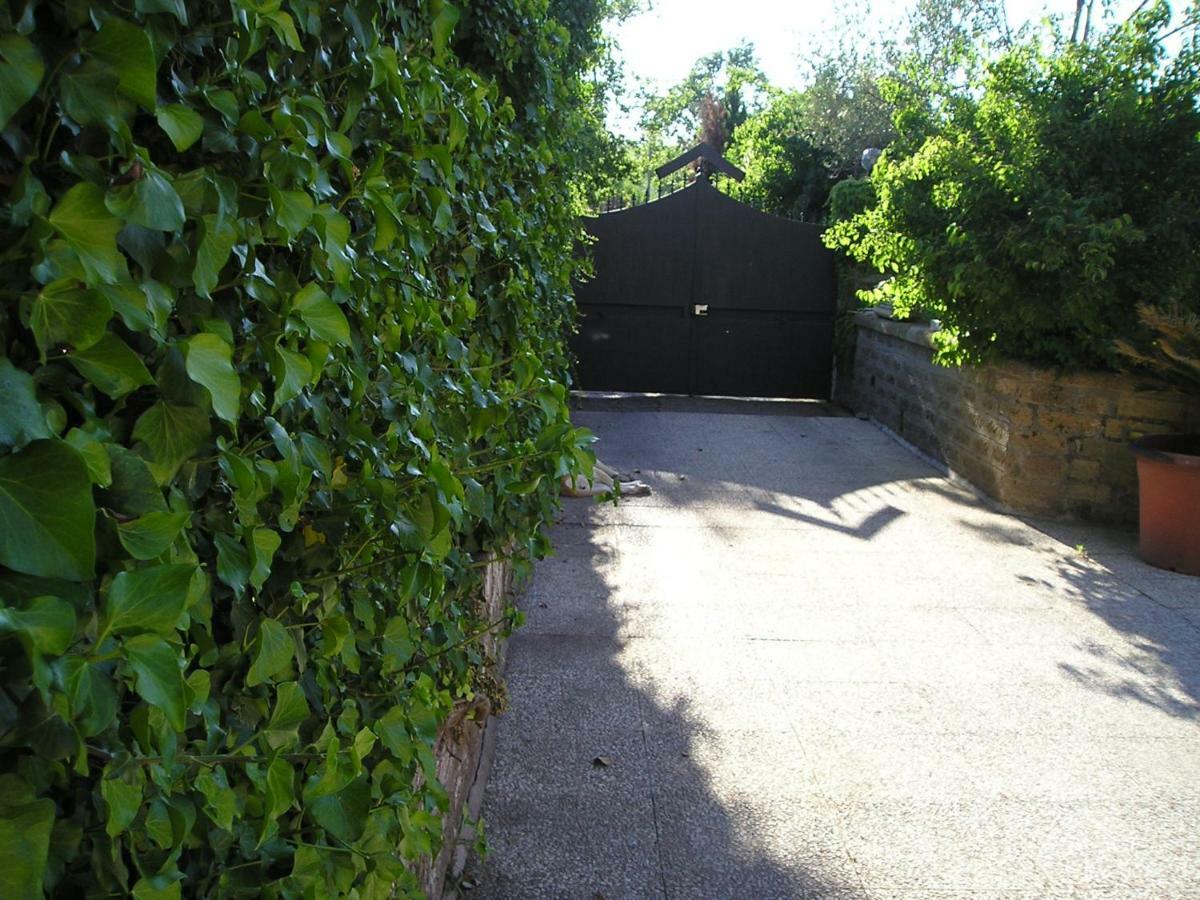 Villa Rosalba Camere Barbarano Romano 외부 사진